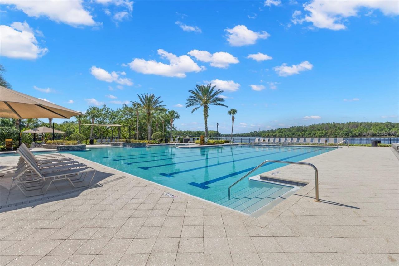 14743 Canopy Drive , Tampa, FL 33626 Photo