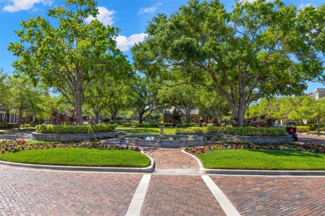 14743 Canopy Drive , Tampa, FL 33626 Photo