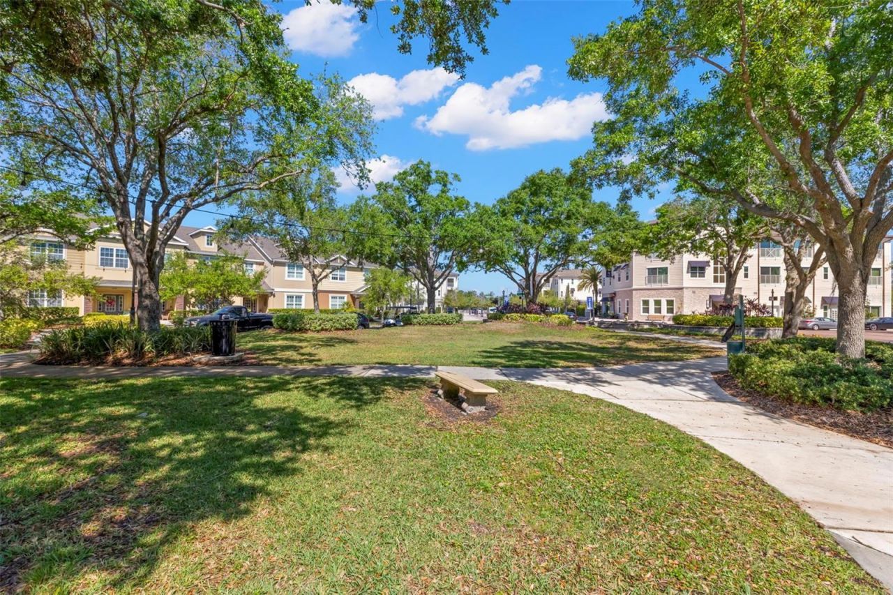 14743 Canopy Drive , Tampa, FL 33626 Photo