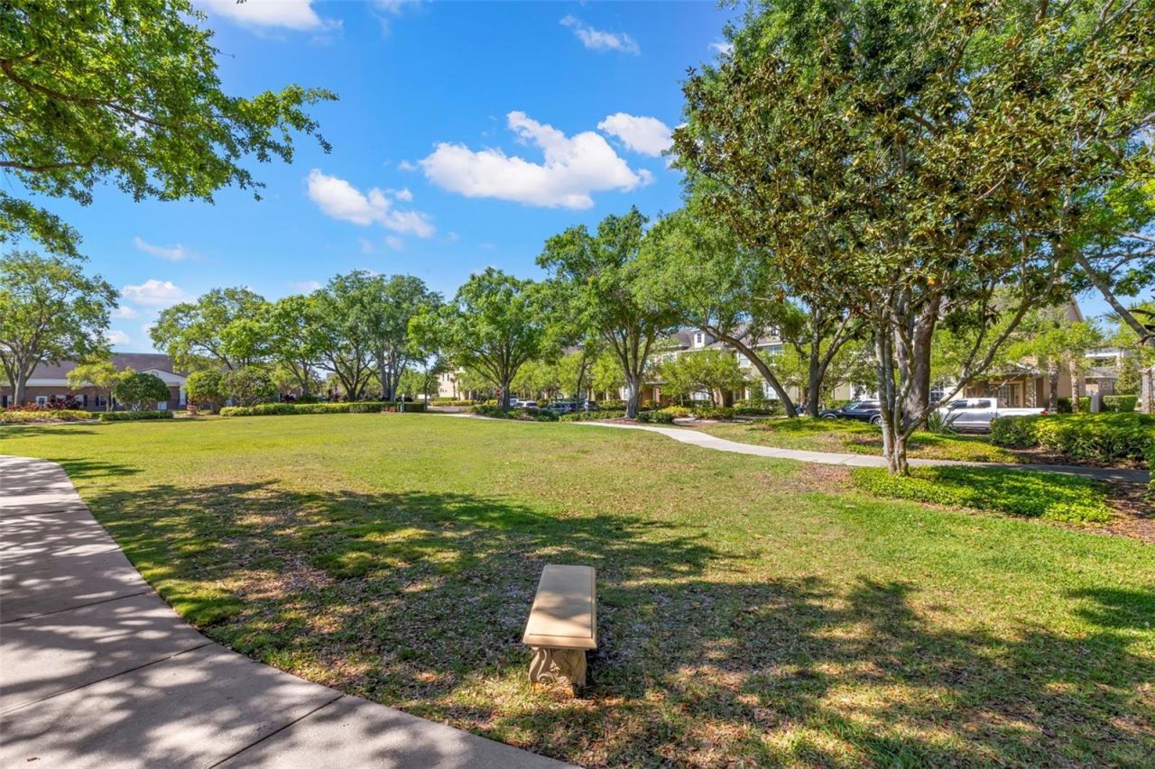 14743 Canopy Drive , Tampa, FL 33626 Photo