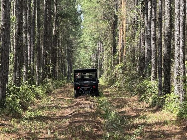 NEÂ 198TH AVE , LAKE BUTLER, FL 32054