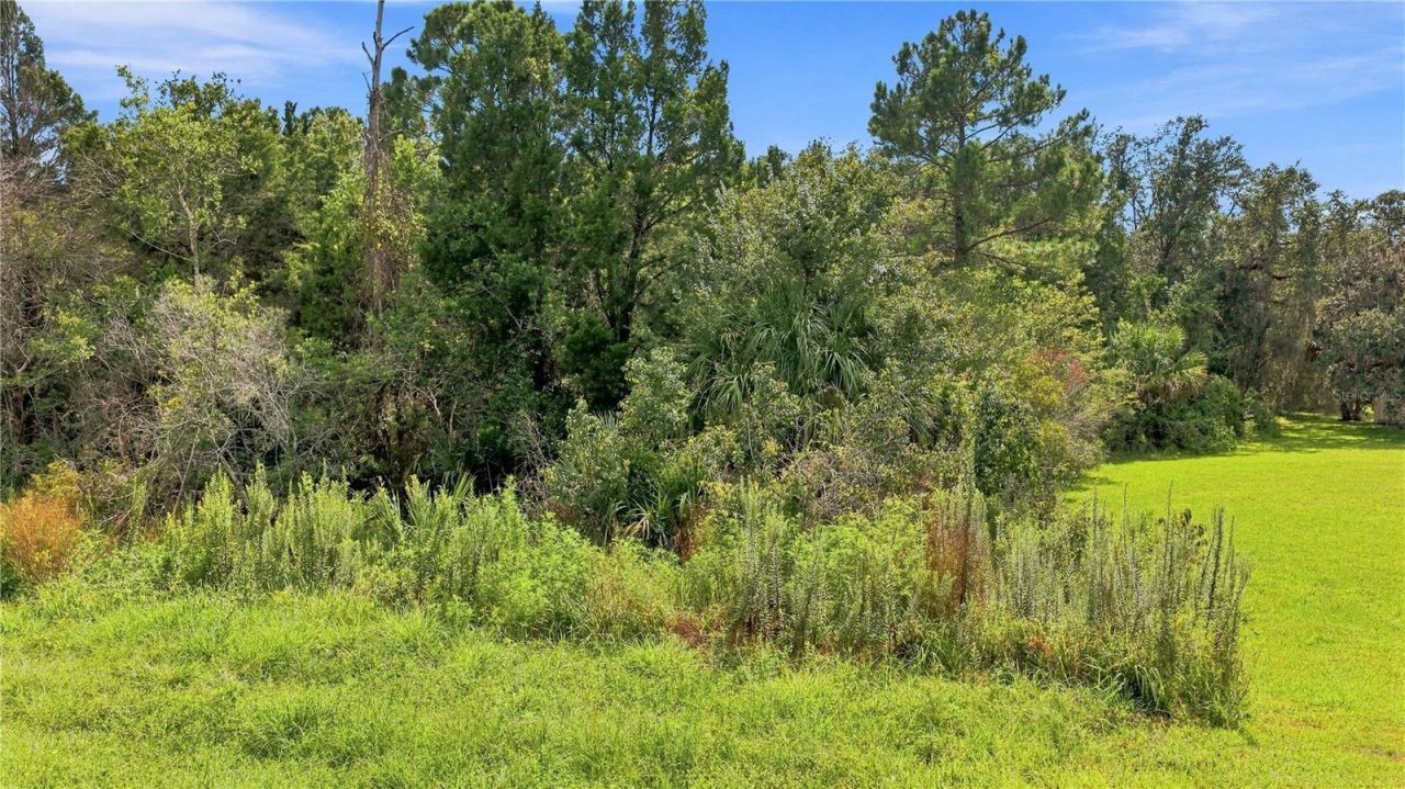 4366 N Suncoast Boulevard , Crystal River, FL 34428 Photo