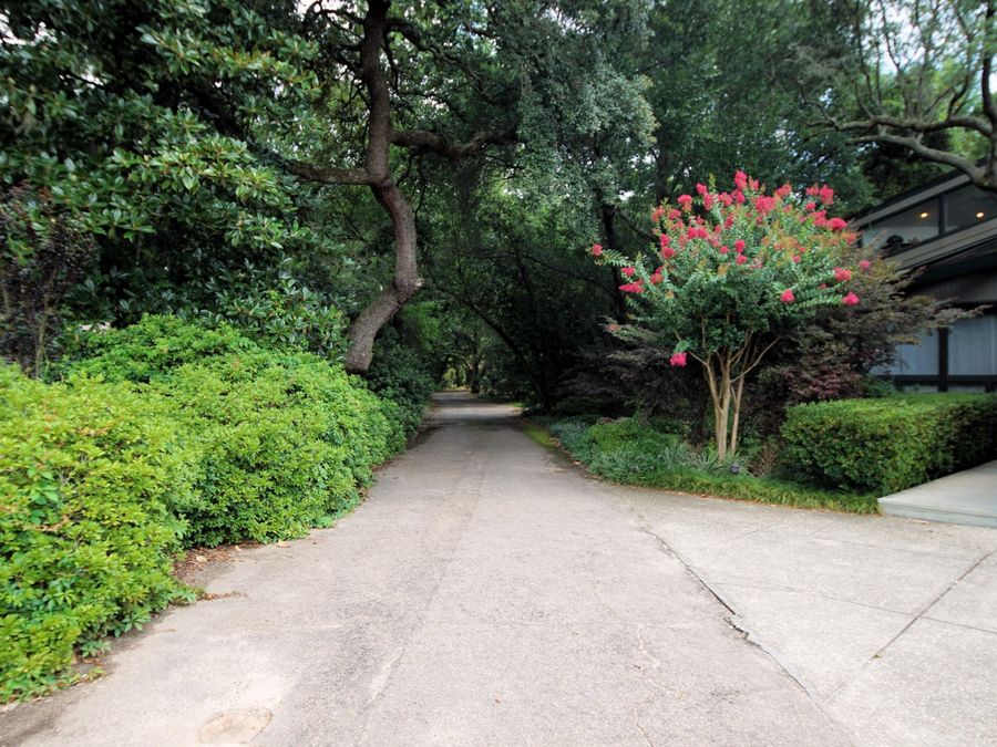 Property Image 62