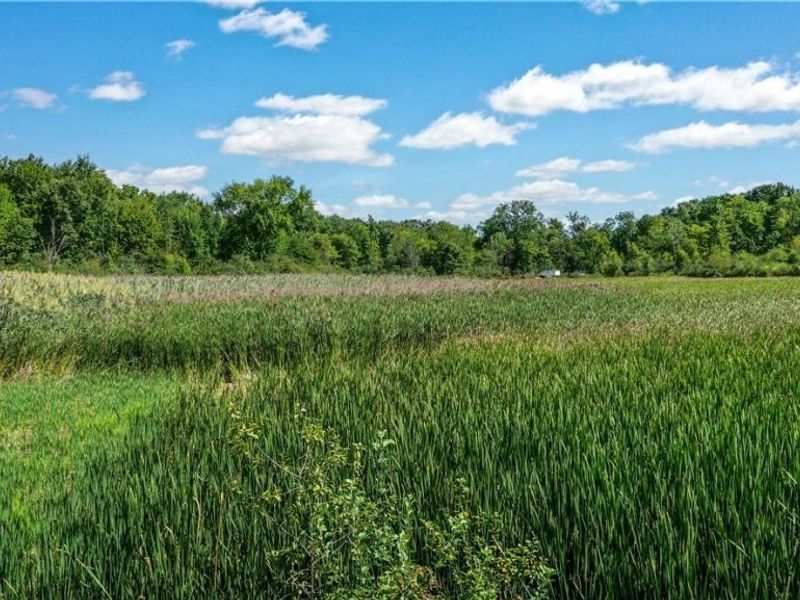 3237 State Route 82 Highway , Mantua, OH 44255 Photo 36