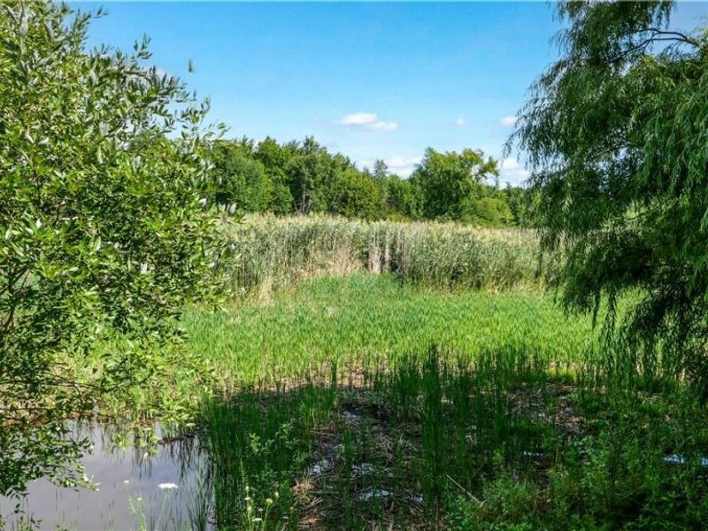 3237 State Route 82 Highway , Mantua, OH 44255 Photo 38