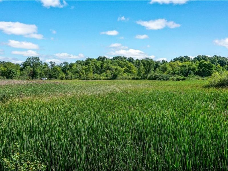 3237 State Route 82 Highway, Mantua, OH 44255 Photo 8