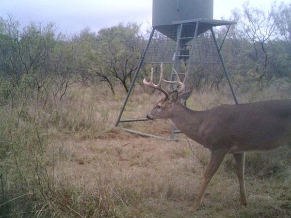 TBD FM 2321 TRACT 2 , Bellevue, TX 76228