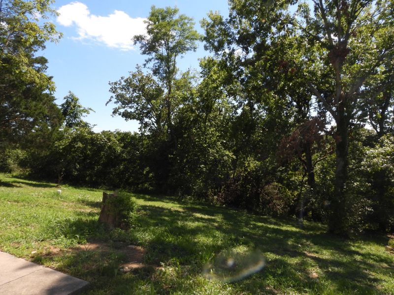 147 Butts Lane, Falmouth, KY 41040 Photo 40