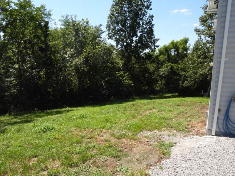 147 Butts Lane, Falmouth, KY 41040 Photo 41