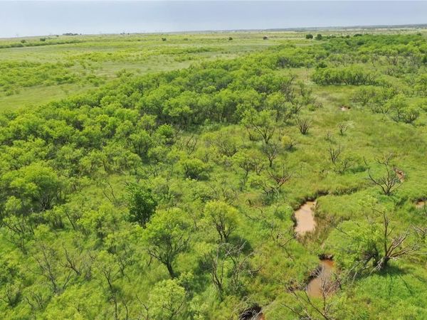 TBD Davis Ln-TRACT 9 , Bellevue, TX 76228