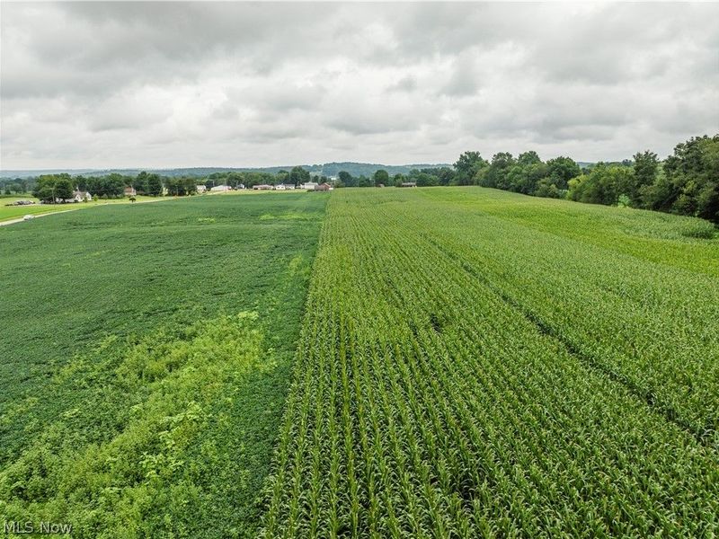 State Route 226, Shreve, OH 44676 Photo 3
