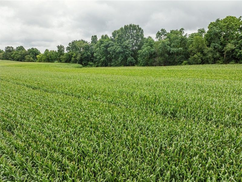 State Route 226, Shreve, OH 44676 Photo 5
