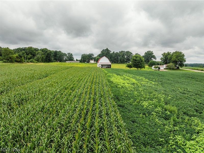 State Route 226, Shreve, OH 44676 Photo 6