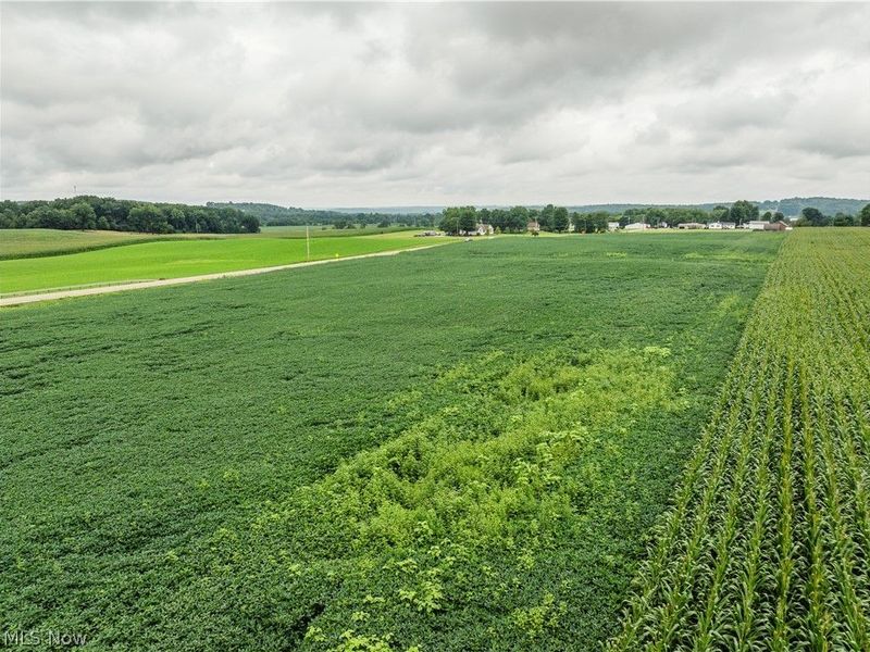 State Route 226, Shreve, OH 44676 Photo 3
