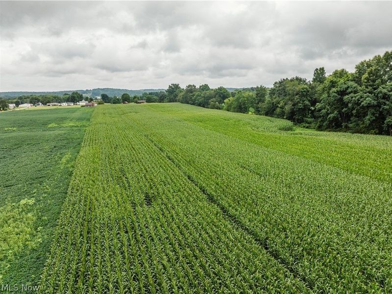 State Route 226, Shreve, OH 44676 Photo 4