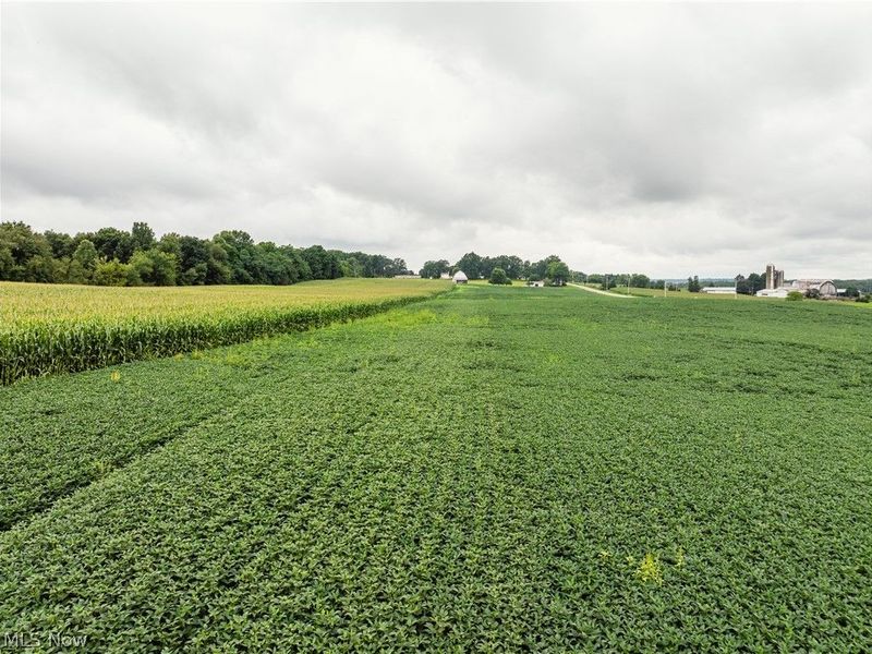 State Route 226, Shreve, OH 44676 Photo 5