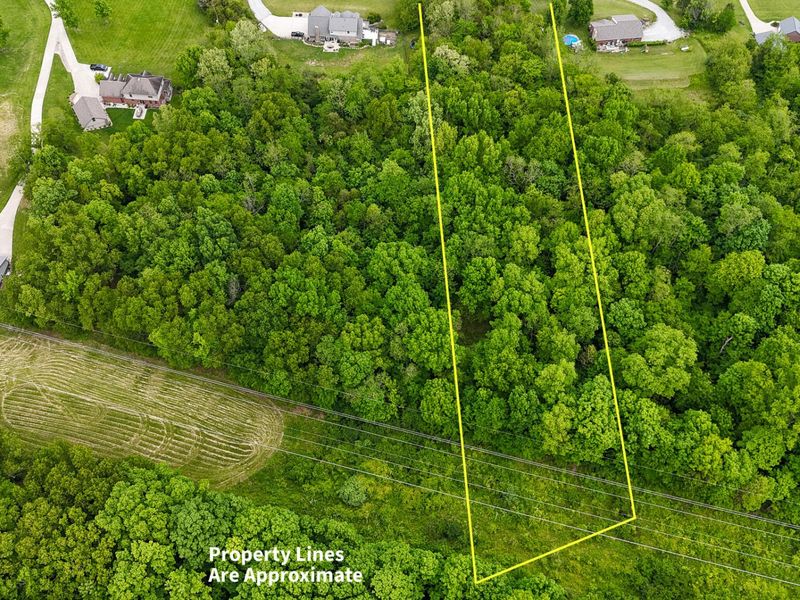 3058 Ten Mile Road, Melbourne, KY 41059 Photo 11