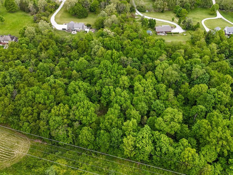 3058 Ten Mile Road, Melbourne, KY 41059 Photo 9