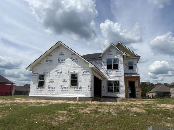 21481 Bluefin Dr, Springfield, LA 70462