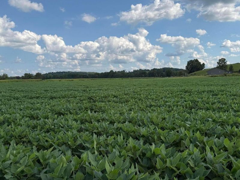 0 Mt. Zwingli Road SE, Unit Lot B, Bremen, OH 43107 Photo 1