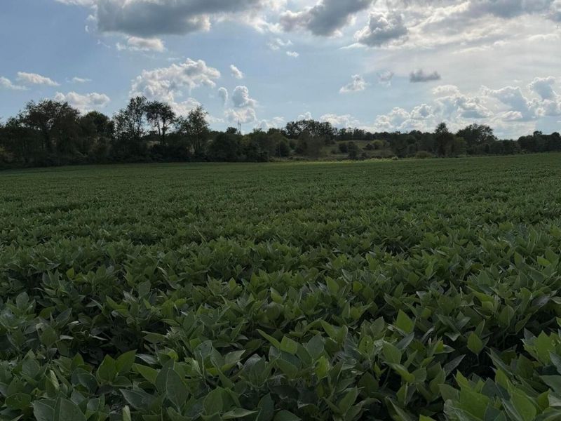 0 Mt. Zwingli Road SE, Unit Lot B, Bremen, OH 43107 Photo 3