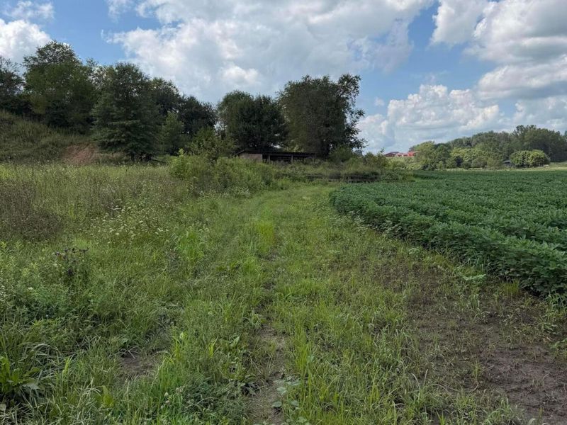 0 Mt. Zwingli Road SE, Unit Lot B, Bremen, OH 43107 Photo 5