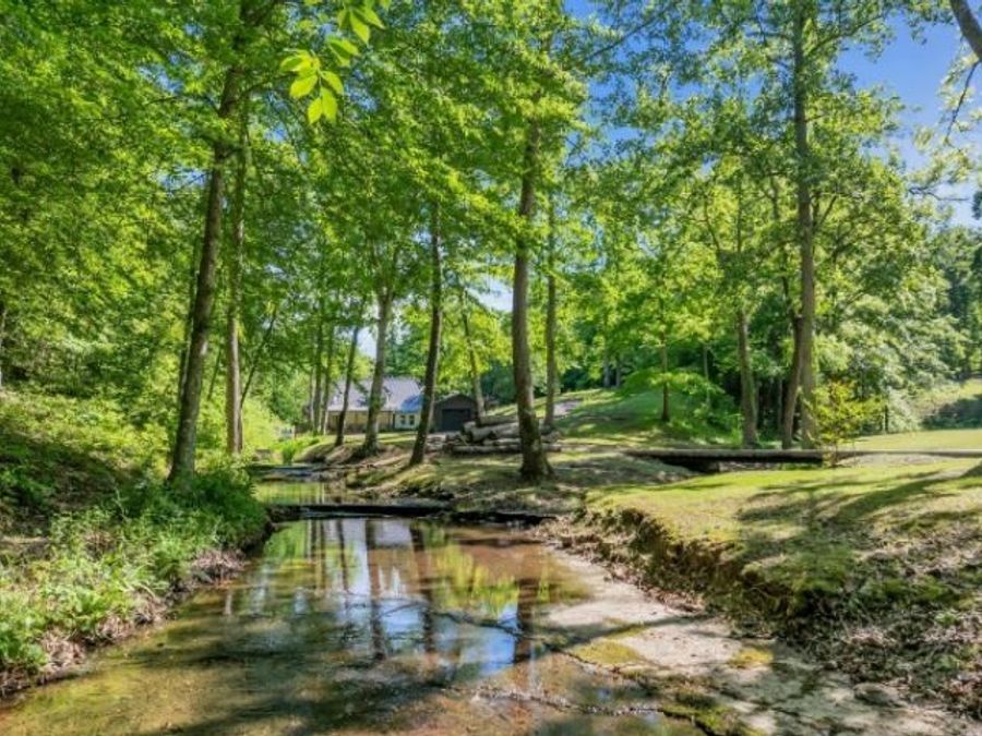Property Image 63