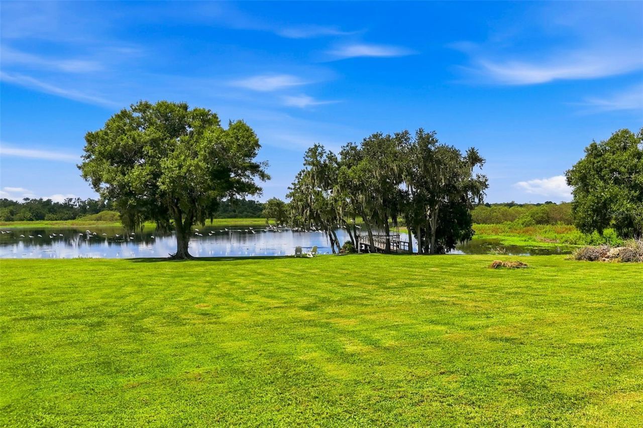 25916 State Road 64 E, Myakka City, FL 34251 Photo