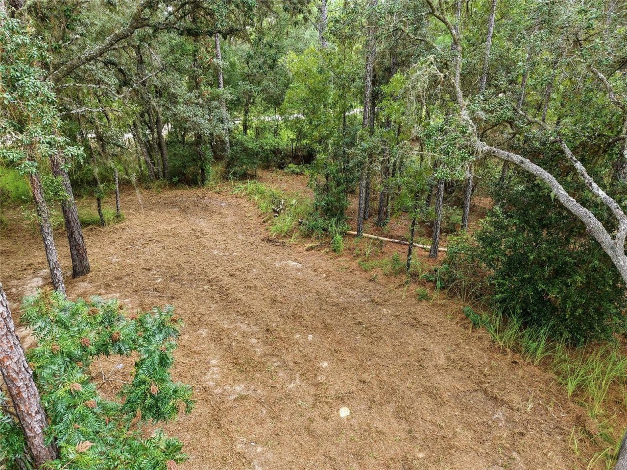10931 NE 78th Lane , Bronson, FL 32621 Photo