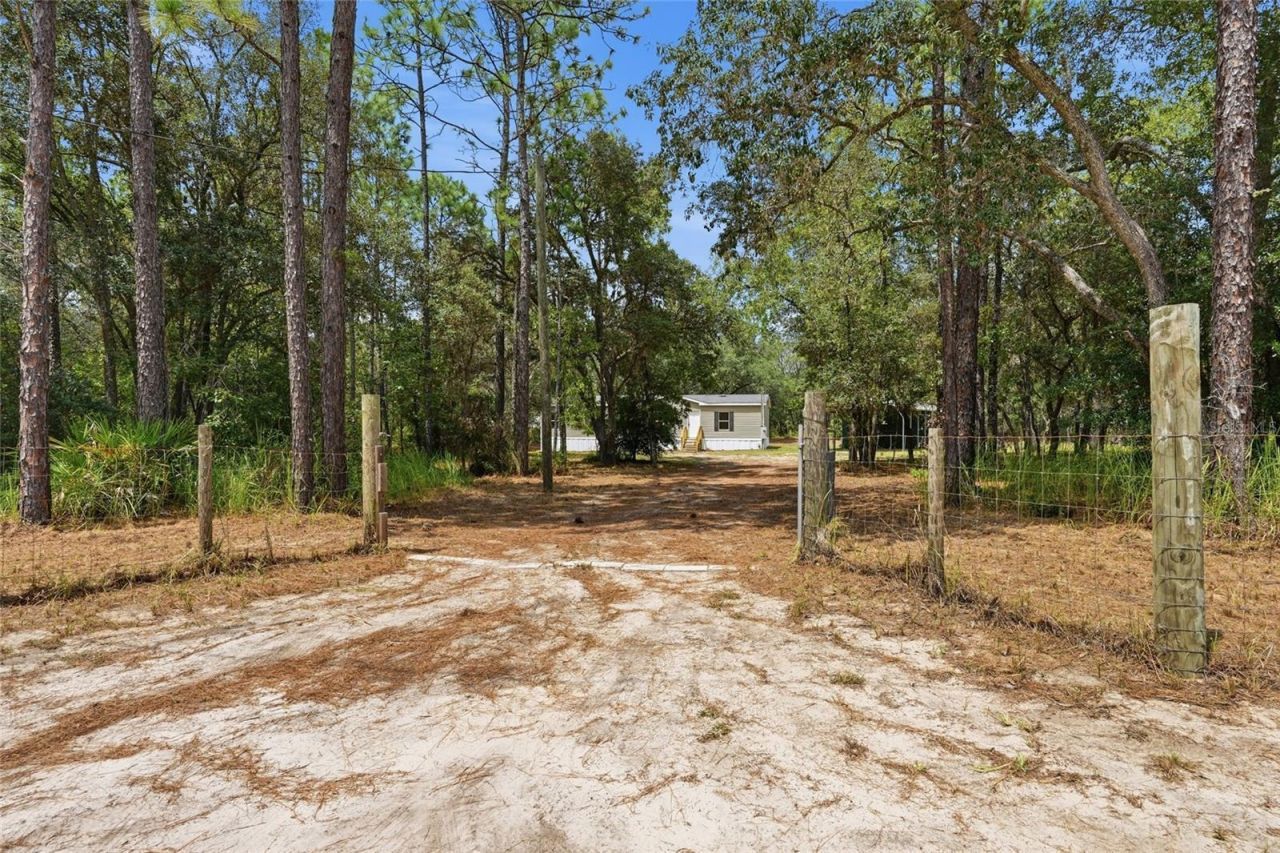 10931 NE 78th Lane , Bronson, FL 32621 Photo