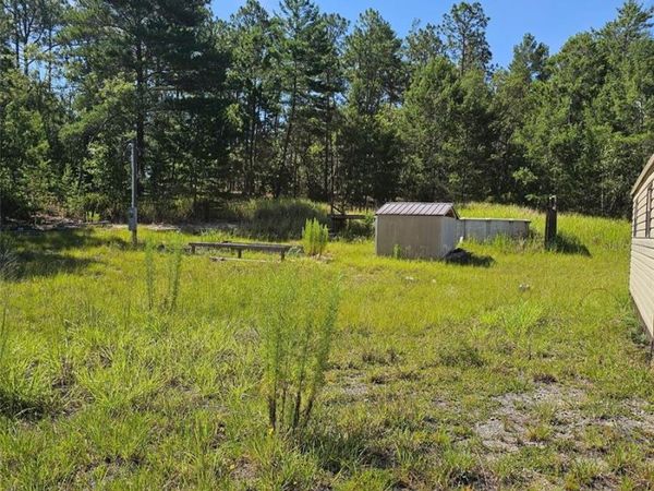 14150 E 6TH LANE , WILLISTON, FL 32696