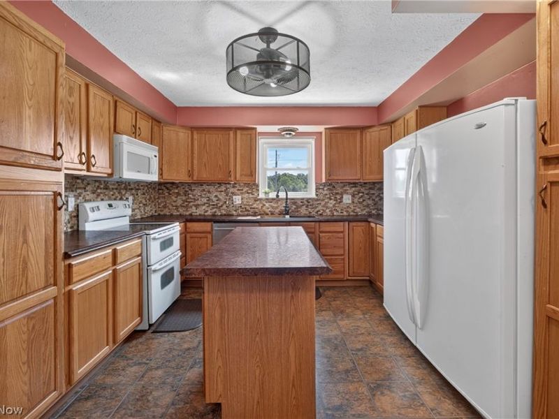 13830 Baumhart Road, Oberlin, OH 44074 Photo 16