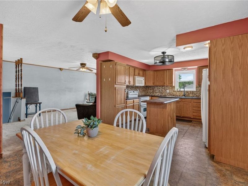 13830 Baumhart Road, Oberlin, OH 44074 Photo 18