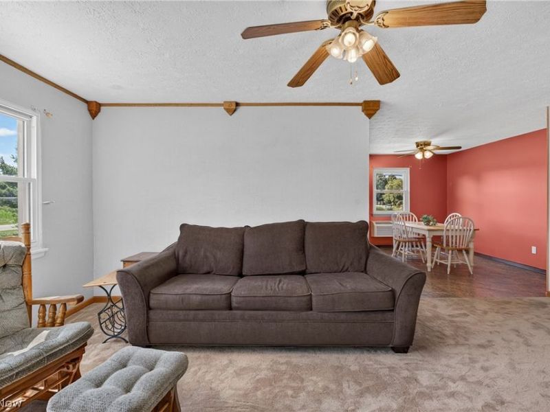 13830 Baumhart Road, Oberlin, OH 44074 Photo 22