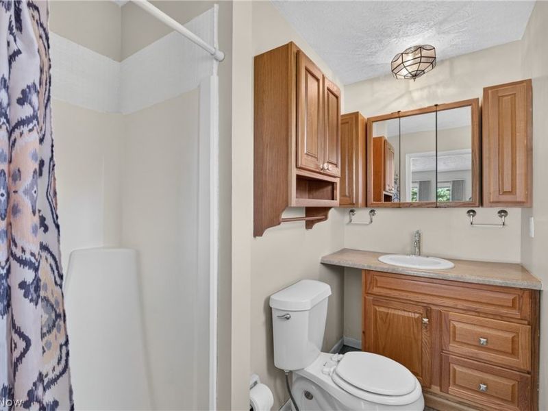 13830 Baumhart Road, Oberlin, OH 44074 Photo 42