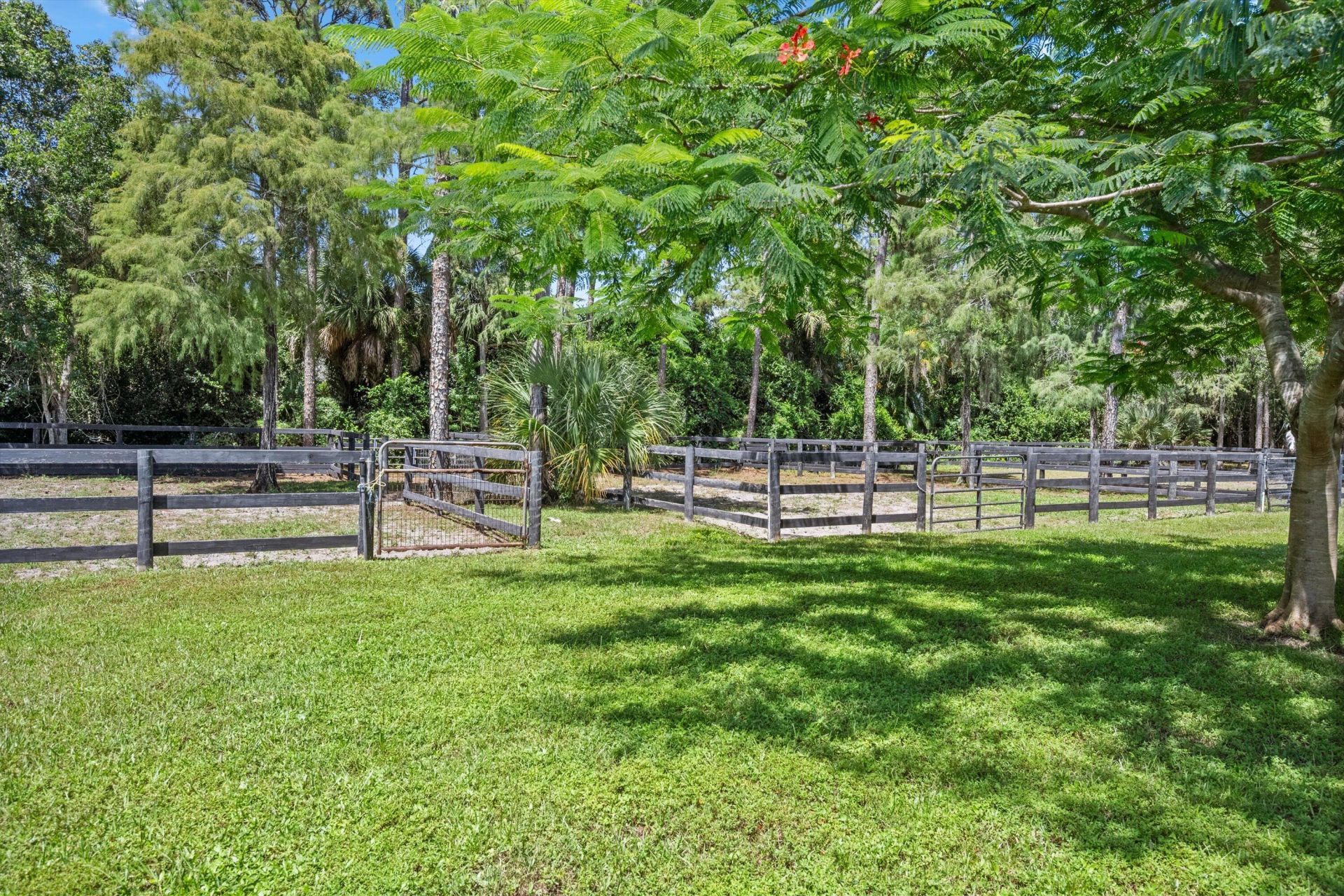 2558 Palm Deer Drive, Loxahatchee, FL 33470 Photo