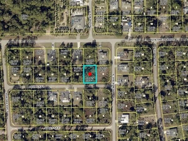 919 Avery ST, LEHIGH ACRES, FL 33974