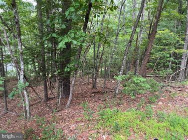 0 FAWN DRIVE, BASYE, VA 22810