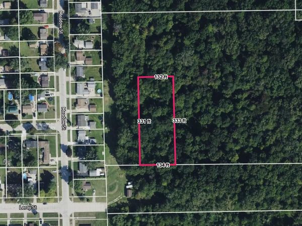 Inkster Road, Romulus, MI 48174
