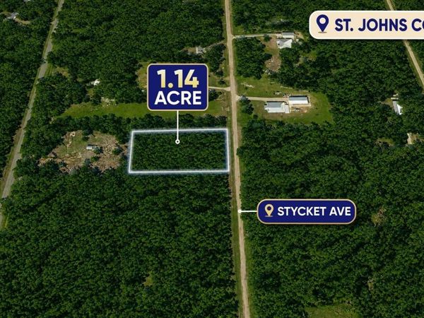 10515 STYCKET AVENUE , HASTINGS, FL 32145
