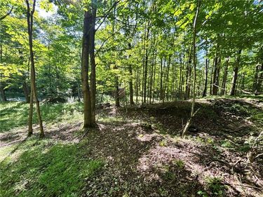 6952 Canadice Hill Road , Springwater, NY 14560
