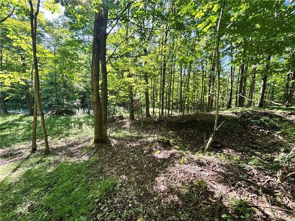 6952 Canadice Hill Road , Springwater, NY 14560