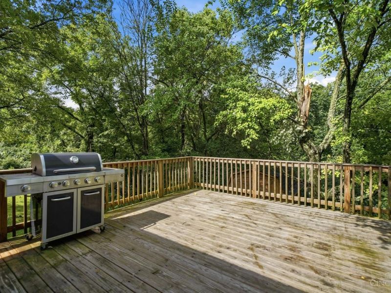 3641 Gailynn Drive, Cincinnati, OH 45211 Photo 42