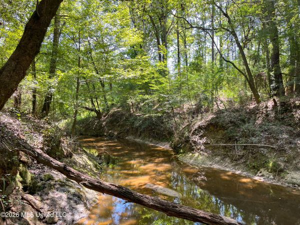 Old Highway 27 Road 2 , Hazlehurst, MS 39083