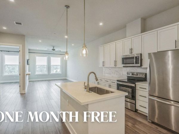 4507 E Martin Luther King Jr BLVD, Unit 133, Austin, TX 78721
