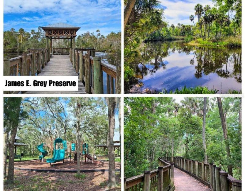 Helena Street , New Port Richey, FL 34654 Photo