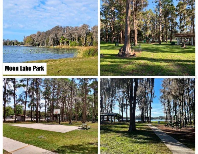Helena Street , New Port Richey, FL 34654 Photo