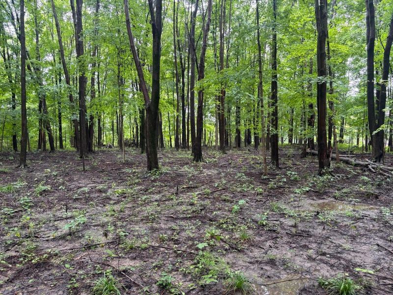 0 Orange , Delaware, OH 43015 Photo 1