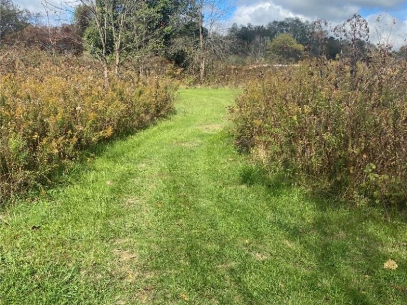 13340, 0 Township Rd 59 and County Rd 54 , Mount Perry, OH 43760 Photo 1
