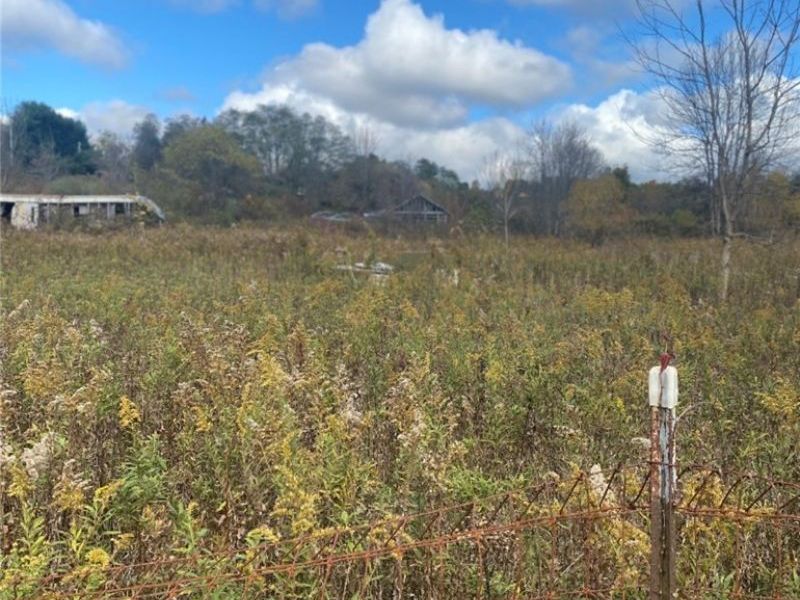 13340, 0 Township Rd 59 and County Rd 54 , Mount Perry, OH 43760 Photo 3